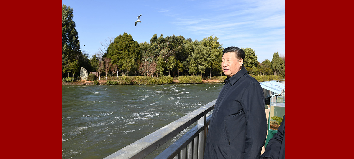 Си Цзиньпин посетил с инспекцией водно-болотные угодья озера Дяньчи
