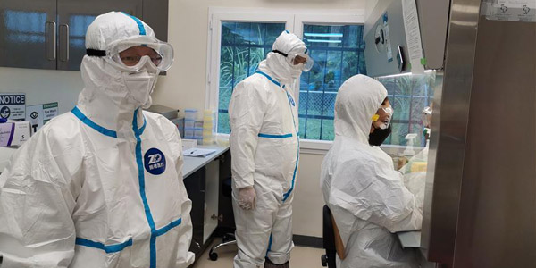 Спецрепортаж: Глобальная борьба с COVID-19