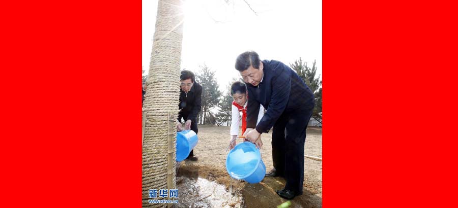 Си Цзиньпин: путем создания более благоприятной экологии построим прекрасный Китай