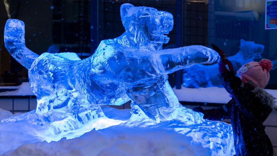 Выставка ледяной скульптуры в Хельсинки в честь китайского Нового года