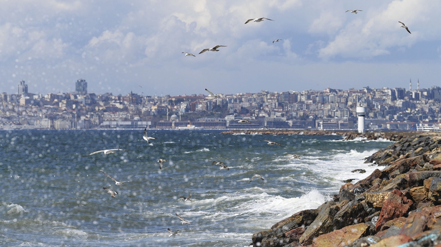 Люди отдыхают на берегу пролива Босфор в Стамбуле