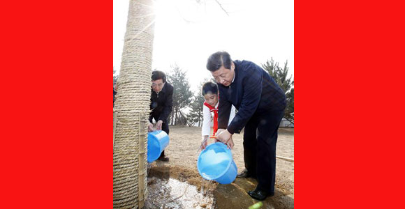 Си Цзиньпин: путем создания более благоприятной экологии построим прекрасный Китай