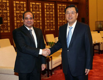 Чжан Дэцзян призывает к долгосрочному, стабильному и устойчивому развитию китайско- египетских отношений