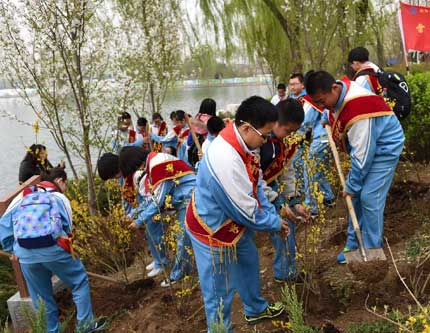 В Пекине более 1,6 млн человек приняли участие в посадке деревьев