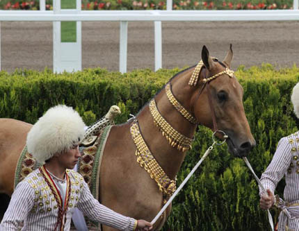 Самого красивого коня выбрали в Туркменистане
