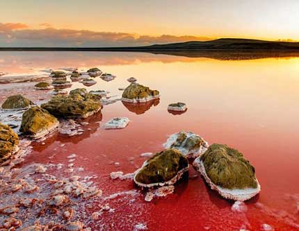 Фантастическое соленое розовое озеро в Крыму