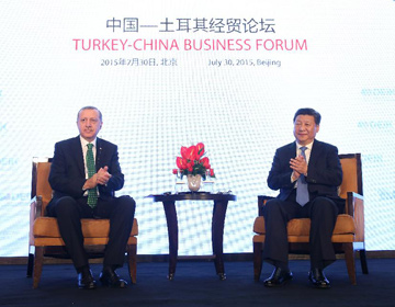 Си Цзиньпин отметил основные перспективные сферы сотрудничества с Турцией