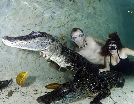 Жизнь с крокодилами