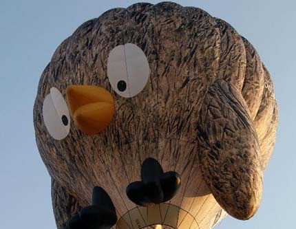 В Бельгии состоялся 15-й фестиваль воздушных шаров