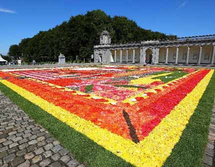Цветочный ковёр в Бельгии