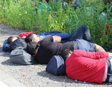 Беженцы пытаются проникнуть в Венгрию через границу с Сербией