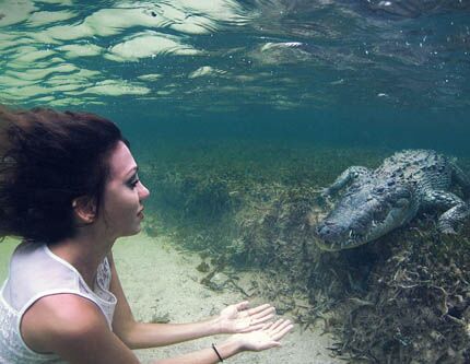 Фото: итальянская модель Roberta Mancinoи и американский крокодил
