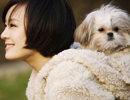Китайская актриса Сунь Ли в фотографиях с бродячими животными