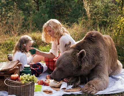 Пикник с медведем