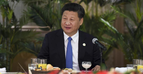 Си Цзиньпин встретился с руководителями африканских стран