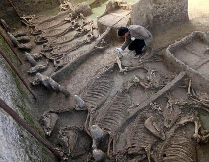 В Центральном Китае обнаружены древние могилы возрастом 2600 лет
