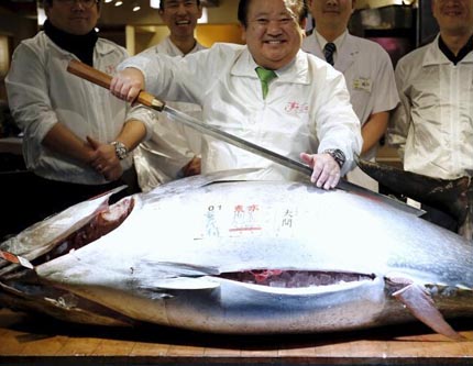 На последних в токийском Цукидзи торгах продали самого большого тунца
