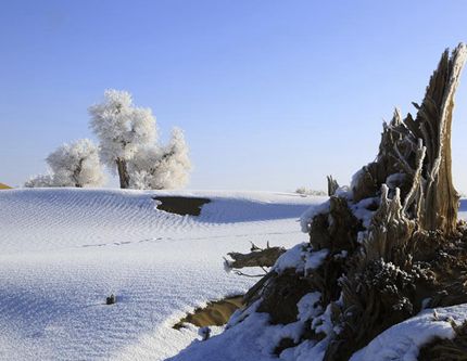 В пустыне Такла-Макан возникло чудо природы-- изморозь