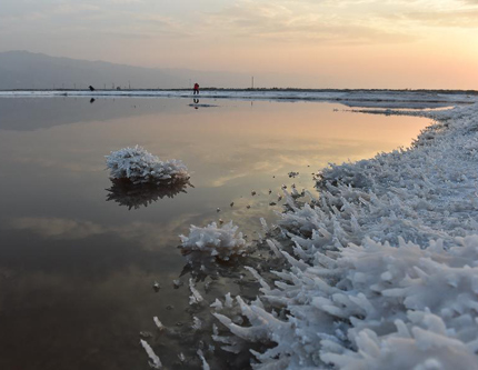 На соляном озере Юньчэн образовались соляные цветы