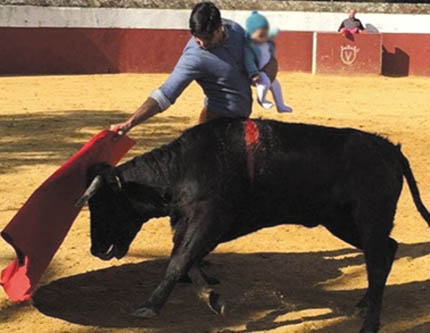 Испанский матадор поучаствовал в корриде с 5-месячной дочерью на руках