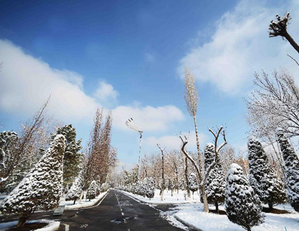 Ташкент под снегом