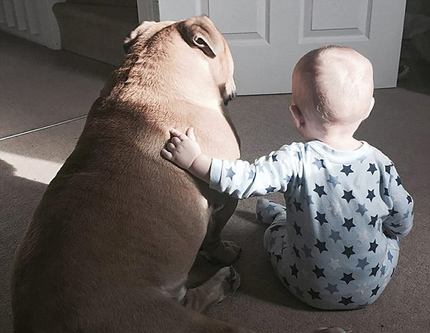 Мальчик и его собака