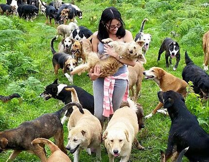 Приют для тысячи бездомных собак в Коста-Рике
