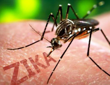 В провинции Гуандун зафиксирован 11-й случай завоза вируса Зика