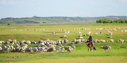Живописные июньские степи Внутренней Монголии в ожидании наплыва туристов
