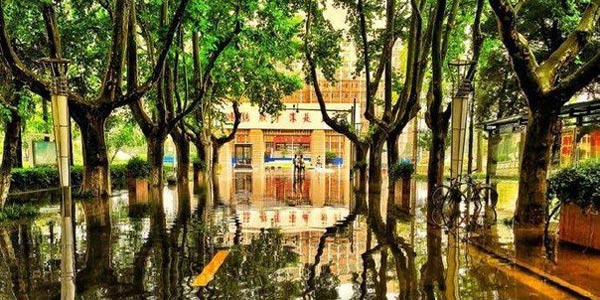 Дорожки кампуса Нанкинского университета науки и технологий превратились в бесконечные озера и реки из-за продолжительных проливных дождей