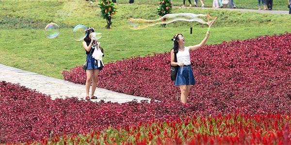 Цветочный парк в Чунцине