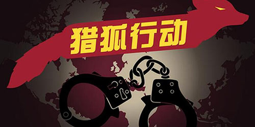 В рамках операции "Охота на лис-2016" задержаны 409 китайских граждан, находившихся в розыске и скрывавшихся за рубежом