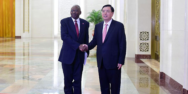 Чжан Дэцзян провел переговоры с председателем парламента Намибии П.Катьявиви