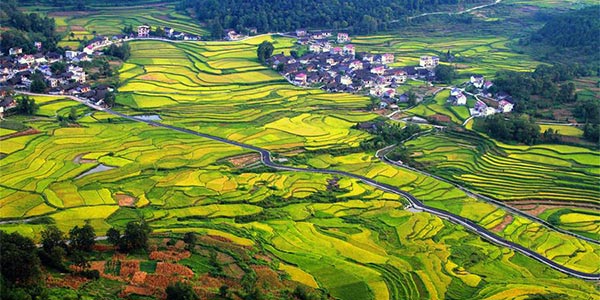 Осенние краски на террасных полях в провинции Хунань