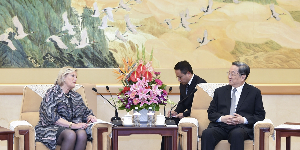 Юй Чжэншэн встретился с председателем Первой палаты Генеральных штатов Нидерландов