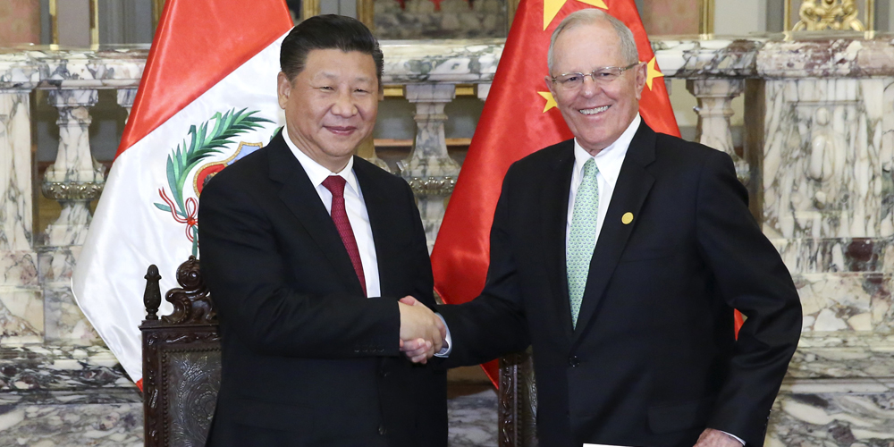 Си Цзиньпин провел переговоры с президентом Перу П.П.Кучински