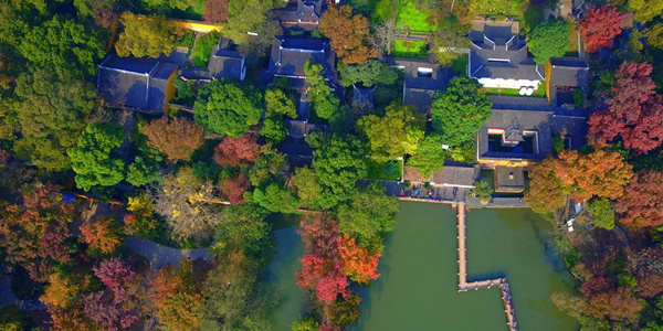 "Разноцветные" клены парка Тяньпиншань в Сучжоу