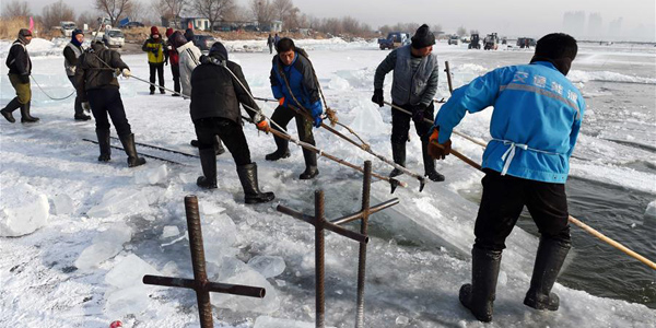 Сезон сбора льда на реке Сунхуацзян