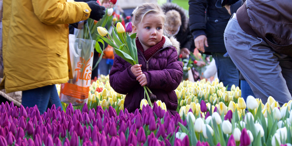 Национальный день тюльпанов отметили в Нидерландах