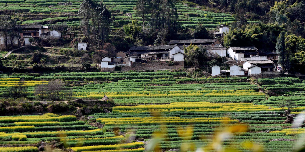 Весна в горной деревне в провинции Юньнань