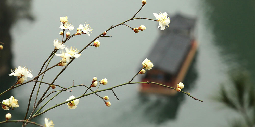В Китай приходит весна