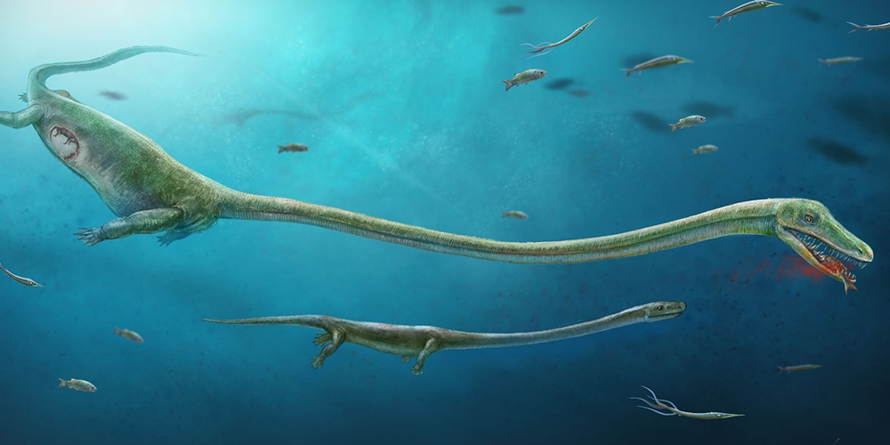 Китайские ученые нашли подтверждение, что диноцефалозавры были живородящими