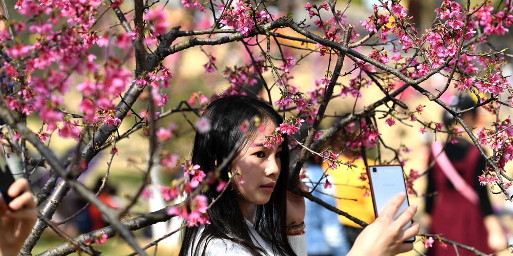 Весна в китайских городах