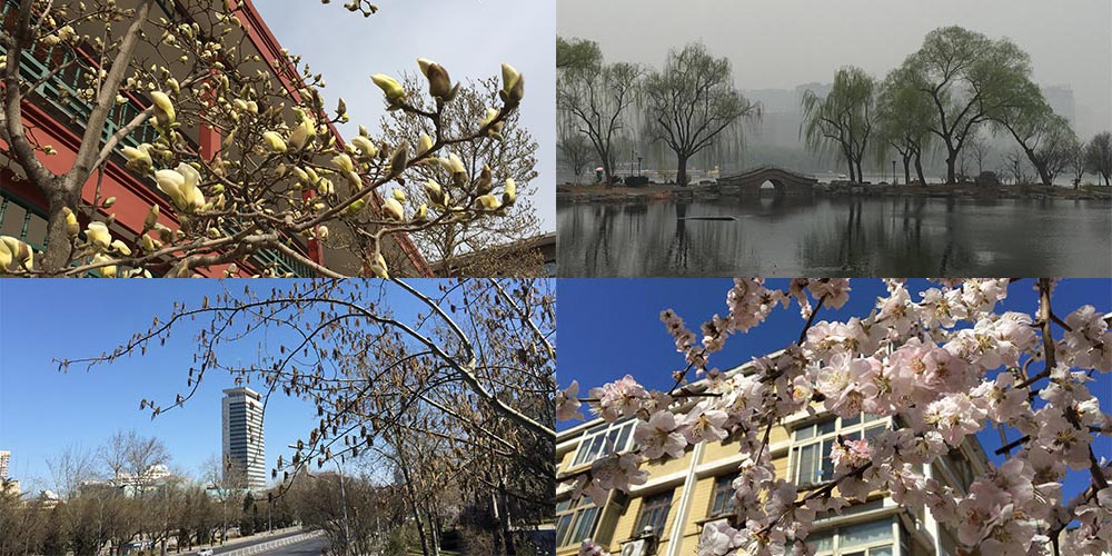 Весенний Пекин