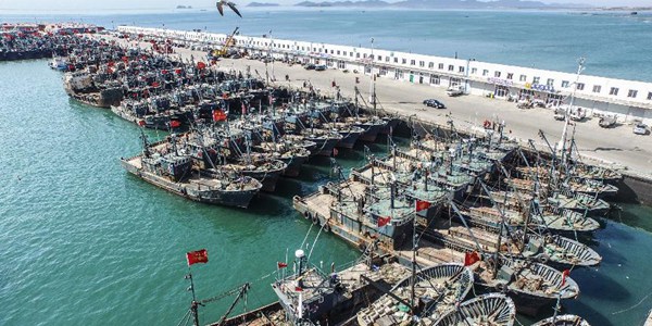 С 1 мая в Китае введен сезонный запрет на ловлю рыбы в морских акваториях страны