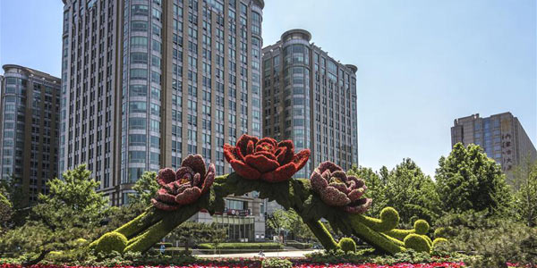 К международному форуму "Пояса и пути" Пекин украсился цветами