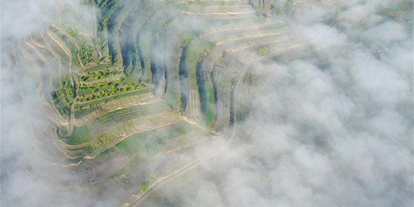 Террасные поля выше облаков в провинции Ганьсу