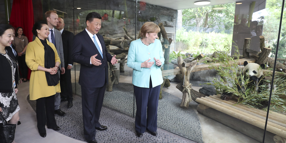 Си Цзиньпин и А.Меркель приняли участие в церемонии открытия павильона больших панд в Берлинском зоопарке
