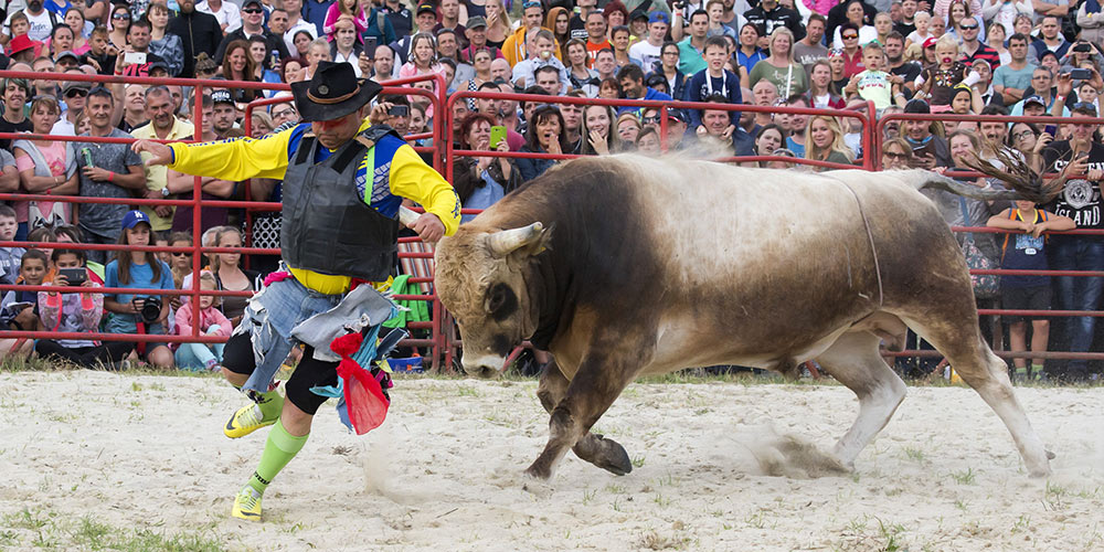 В Венгрии прошел чемпионат Центральной Европы по родео на быках