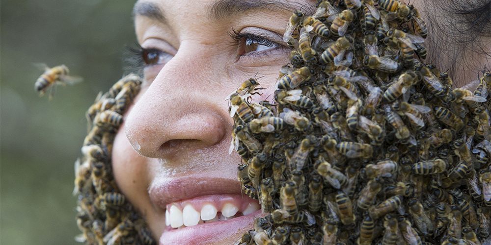 Конкурс на самую большую "пчелиную бороду" в канадском городе Эйлмер